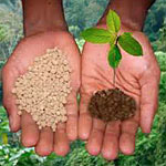 Photo of organic fertilizer