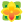 flower image