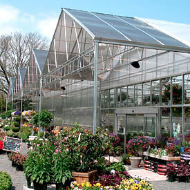 Image of plant nursery