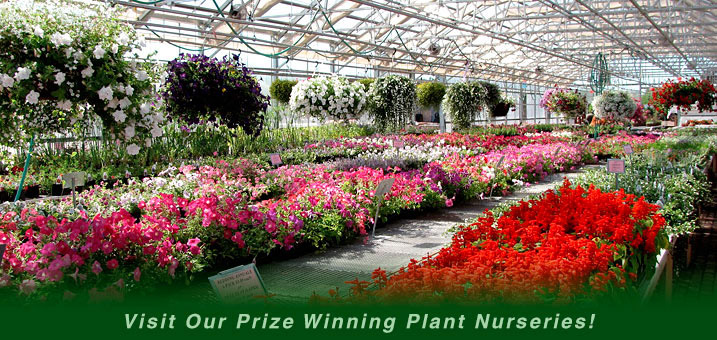 Plant nursery image