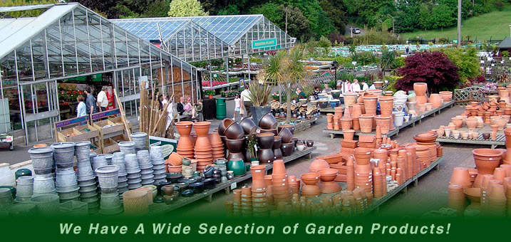 Plant nursery image