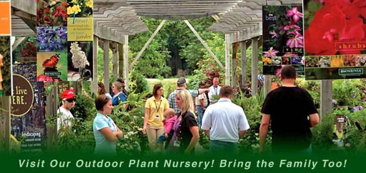 Plant nursery image