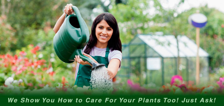 Plant nursery image